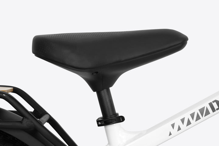 giant saddle