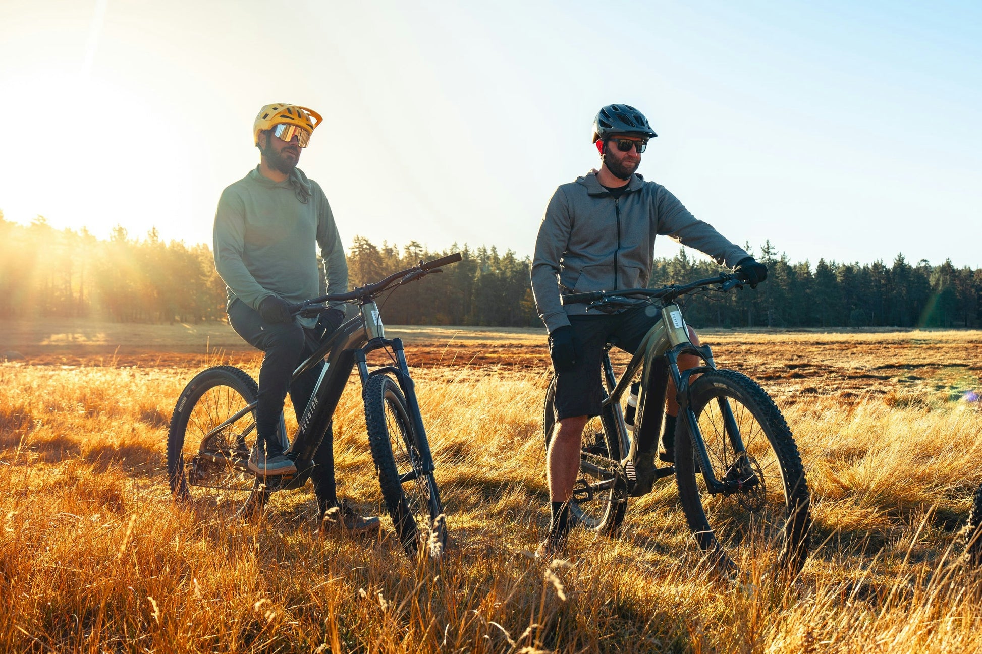 Aventon Ramblas Borealis Hardtail 250W mid drive eMTB