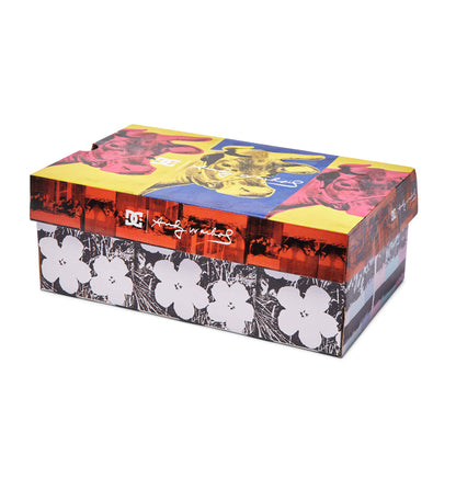 DC Andy Warhol Manual Slip On Shoes Black Graphic Box
